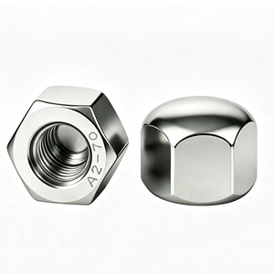 DIN 917 Low Type Hexagon Cap Nut